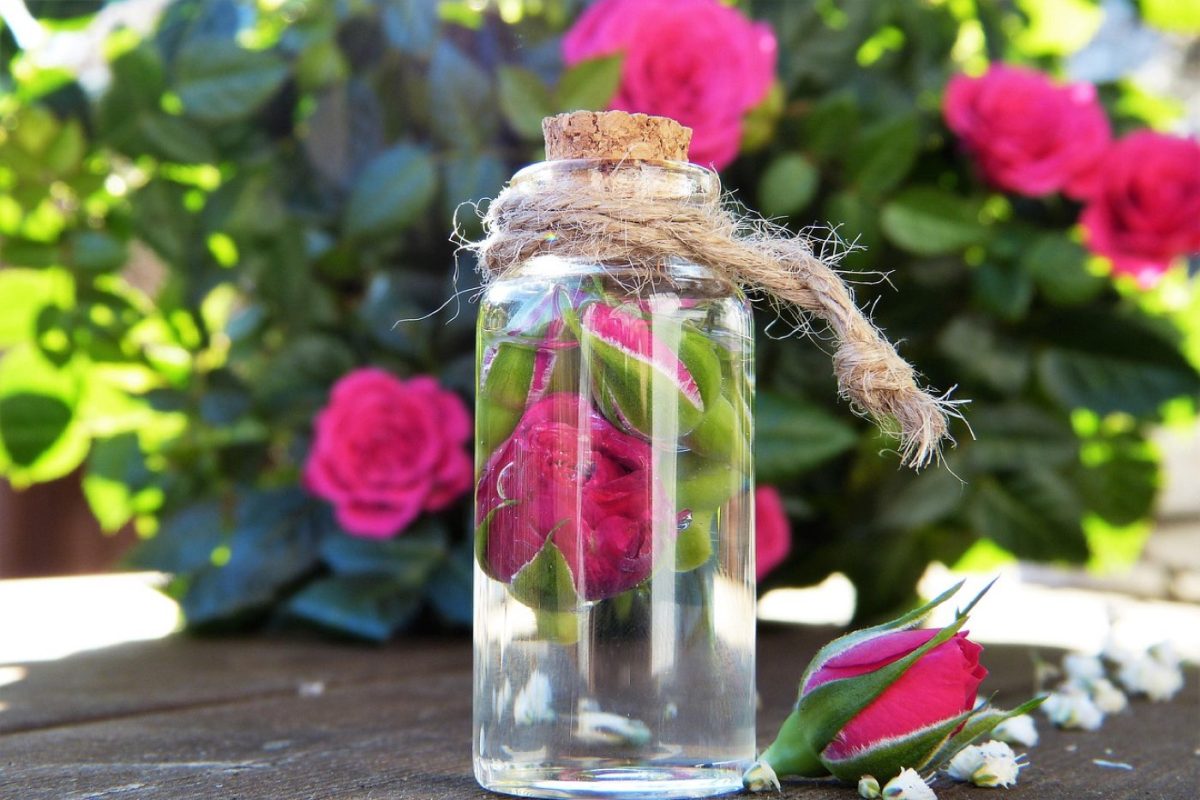 Comparatif pratique : vinaigre, bicarbonate et huiles